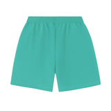 AquaMarine Blue Basic Boys Shorts